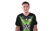 E Sports Sport Sticker by VfL Wolfsburg