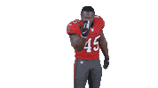 Tampa Bay Football Sticker by Tampa Bay Buccaneers