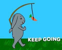 BunBea running run rabbit carrot GIF