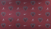 College Sports Sport GIF by CWU Athletics
