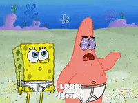 season 7 GIF by SpongeBob SquarePants