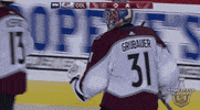 happy ice hockey GIF by NHL
