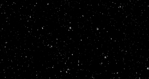 NordicRaceDK giphygifmaker GIF