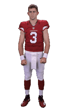 Arizona Cardinals Sticker Sticker by NFL