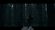 Out Of Darkness GIF by Signature Entertainment