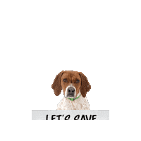 Cat Dog Sticker by Best Friends Animal Society
