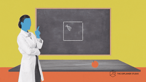 Animation Education GIF by The Explainer Studio