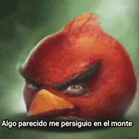 Angry Bird Xd GIF