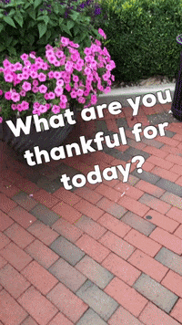 Happy Give Thanks GIF by Tracy Shroyer, PhD