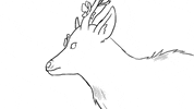 percolategalactic nature dream surreal deer GIF
