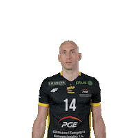 Power Win Sticker by PGE GiEK Skra Bełchatów