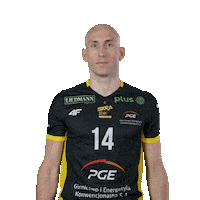 Volleyball Sticker by PGE GiEK Skra Bełchatów