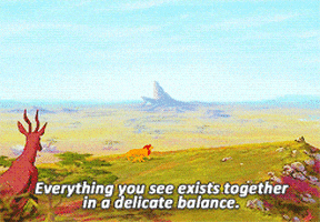 the lion king disney GIF