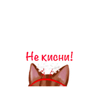 Cat Smile Sticker