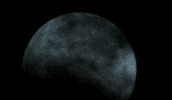 Council GIF by Survivor CBS