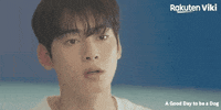 Cha Eun Woo Kdrama Couple GIF by Viki
