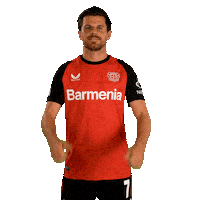 Bayer 04 Love Sticker by Bayer 04 Leverkusen