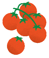 Tomato Ostro Sticker by Beci Orpin