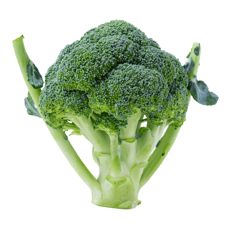 Broccoli Sticker by yasuifarm