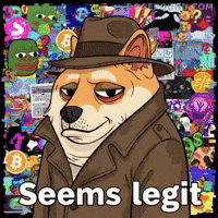 Sarcastic Crypto GIF by Doge Pound