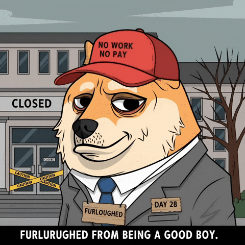 Sad Shiba Inu GIF by Doge Pound