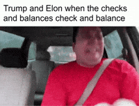Elon Musk Trump GIF