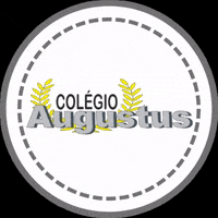 colegioaugustus escola colegio estudar ler GIF