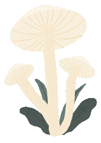 Indonesia Forest Sticker by Hutanituindonesia