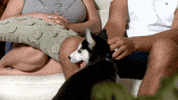 Ace Watching Tv GIF by Gogglebox Australia