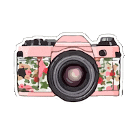 danteespinocle camara camaradefotos Sticker