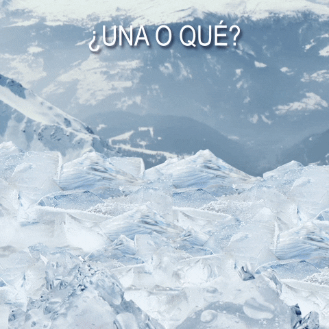 fun beer GIF by Cerveza Busch Light
