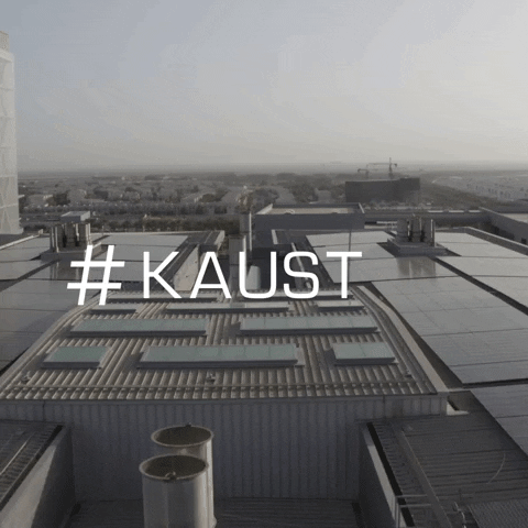 Saudi Arabia GIF by King Abdullah University of Science and Technology (KAUST)
