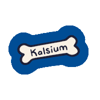 Ramadan Calcium Sticker by moodoodles