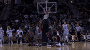 basketball GIF by UCF Knights