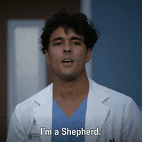 Explain Greys Anatomy GIF by ABC Network