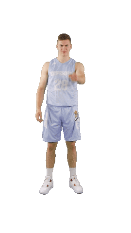 acslsports basketball why ha du Sticker