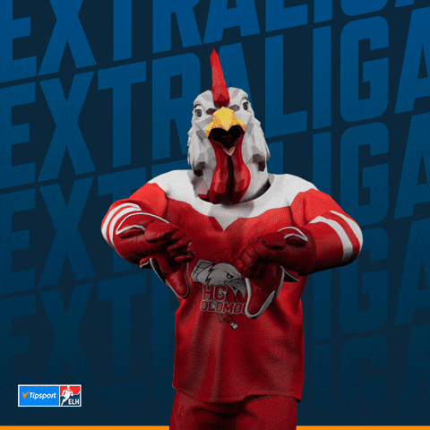 Hockey Hokej GIF by Tipsport extraliga