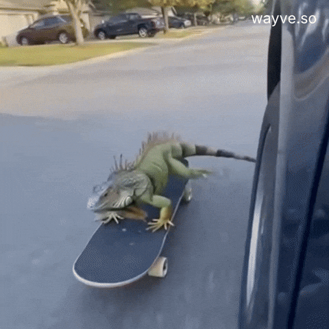 Mood Friday GIF by Darwin