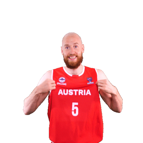 Fiba Teamaustria Sticker by Basketball Superliga