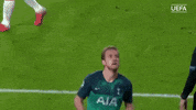 champions league road to the ucl finals 2019 GIF by UEFA