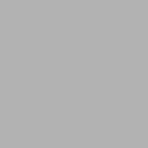 gracielargo giphyupload gracielargobjj teamzapata gracielargo GIF