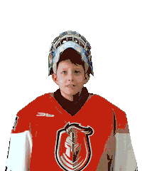 Hockey Hokej Sticker by Ľubovnianski Rytieri