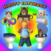 Saturday Happy Weekend GIF