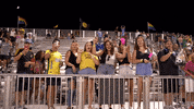 Usl Championship Reaction GIF by Charleston Battery