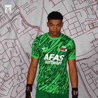 Afas Stadion Football GIF by AZ Alkmaar