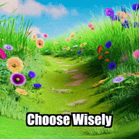 Wisdom Choose Wisely GIF by Guinea Gambino