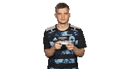 Hamburger Sv Hamburg Sticker by Bundesliga