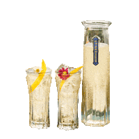 stgermaindrinks cheers happy hour sante spritz Sticker