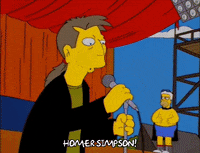 homer simpson episode 24 GIF