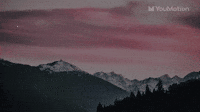 Liquid transition pack graphics pack studio animation